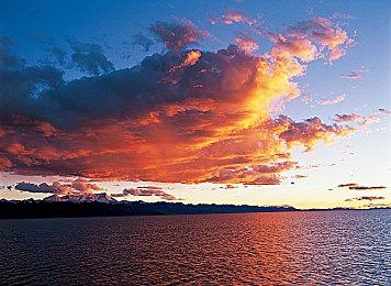 《女神异闻录：夜幕魅影》“偷心测试”宣布1月16日开启